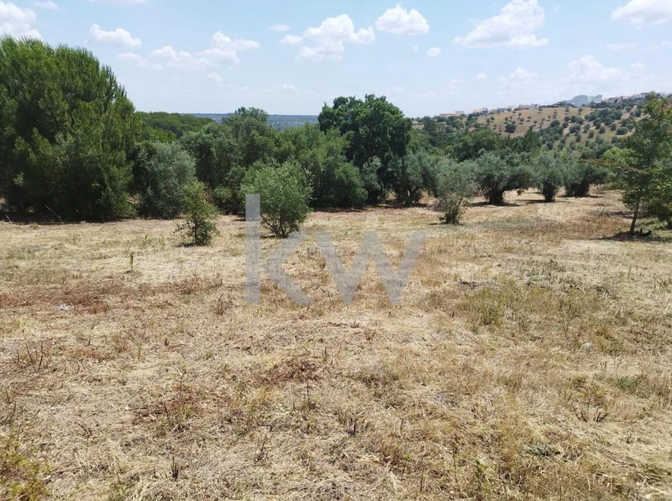 Terreno para Venda em Montargil Foto 5