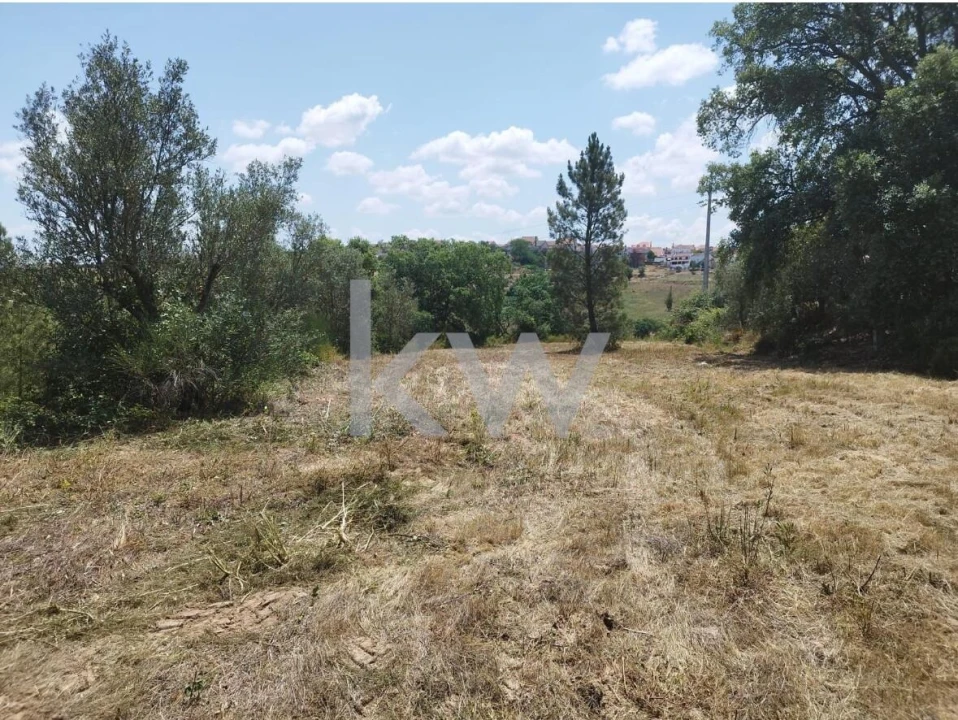 Terreno para Venda em Montargil Foto 6