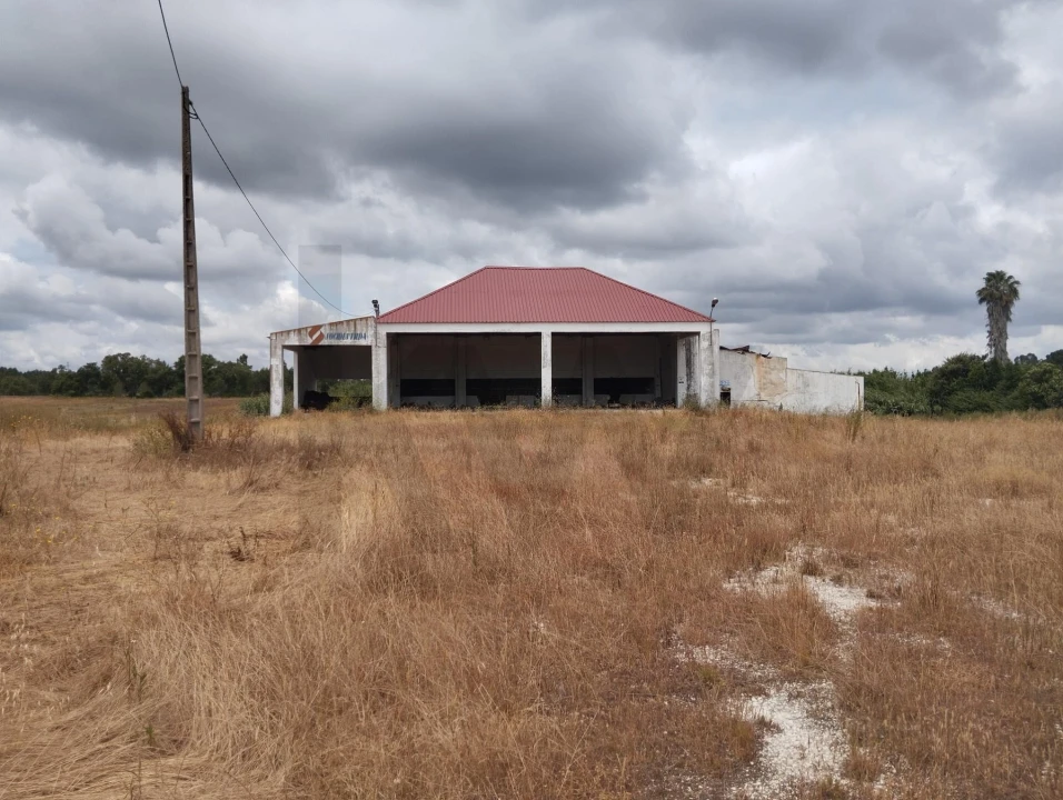 Quinta T3 para Venda em Santo Estêvão Foto 14