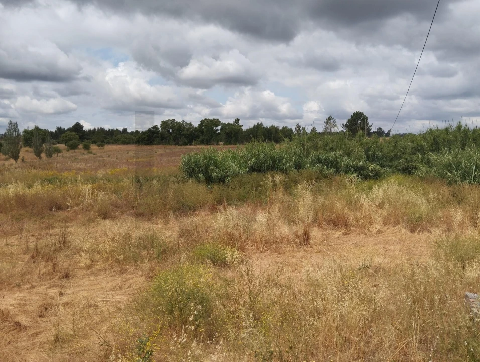 Quinta T3 para Venda em Santo Estêvão Foto 20
