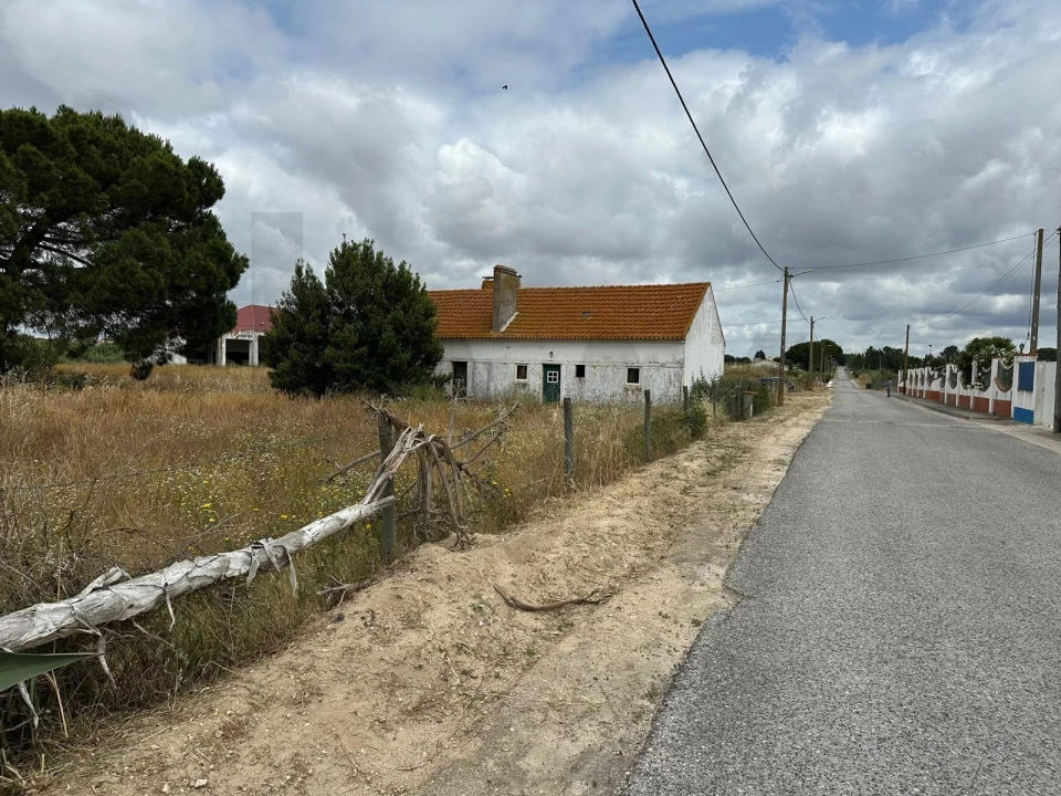 Quinta T3 para Venda em Santo Estêvão Foto 4