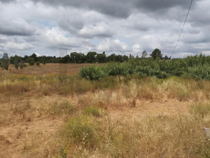 Quinta T3 para Venda em Santo Estêvão Foto 20