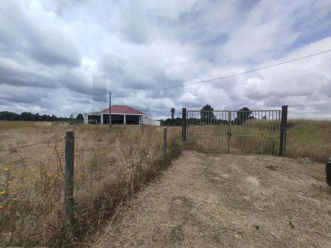 Quinta T3 para Venda em Santo Estêvão Foto 6