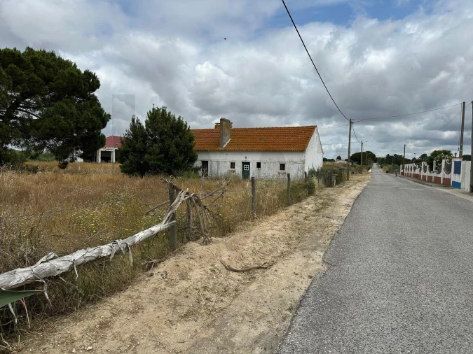 Quinta T3 para Venda em Santo Estêvão Foto 4