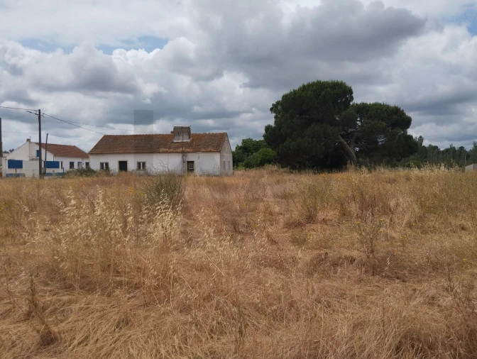 Quinta T3 para Venda em Santo Estêvão Foto 15