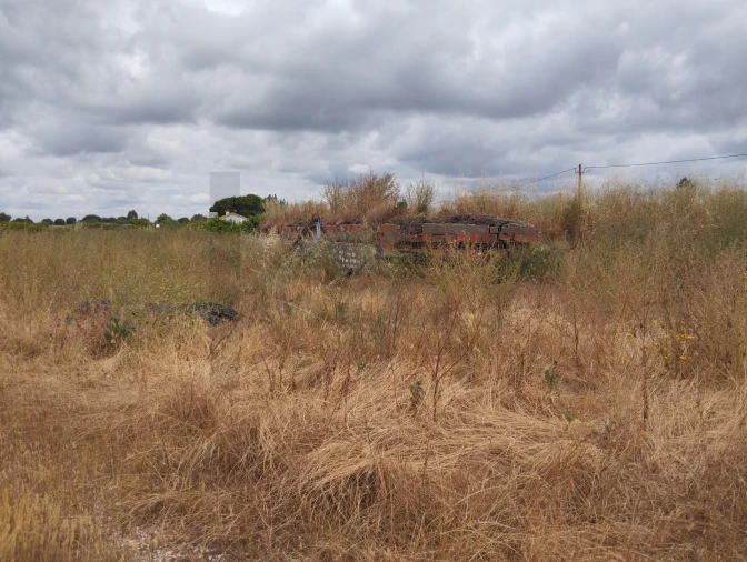 Quinta T3 para Venda em Santo Estêvão Foto 16