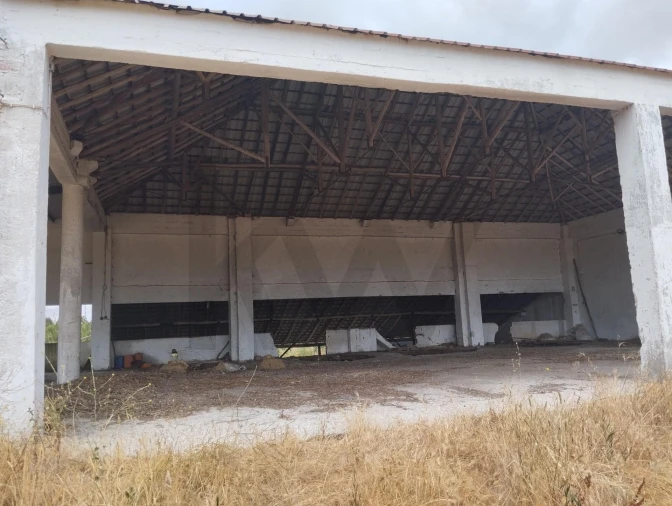 Quinta T3 para Venda em Santo Estêvão Foto 17