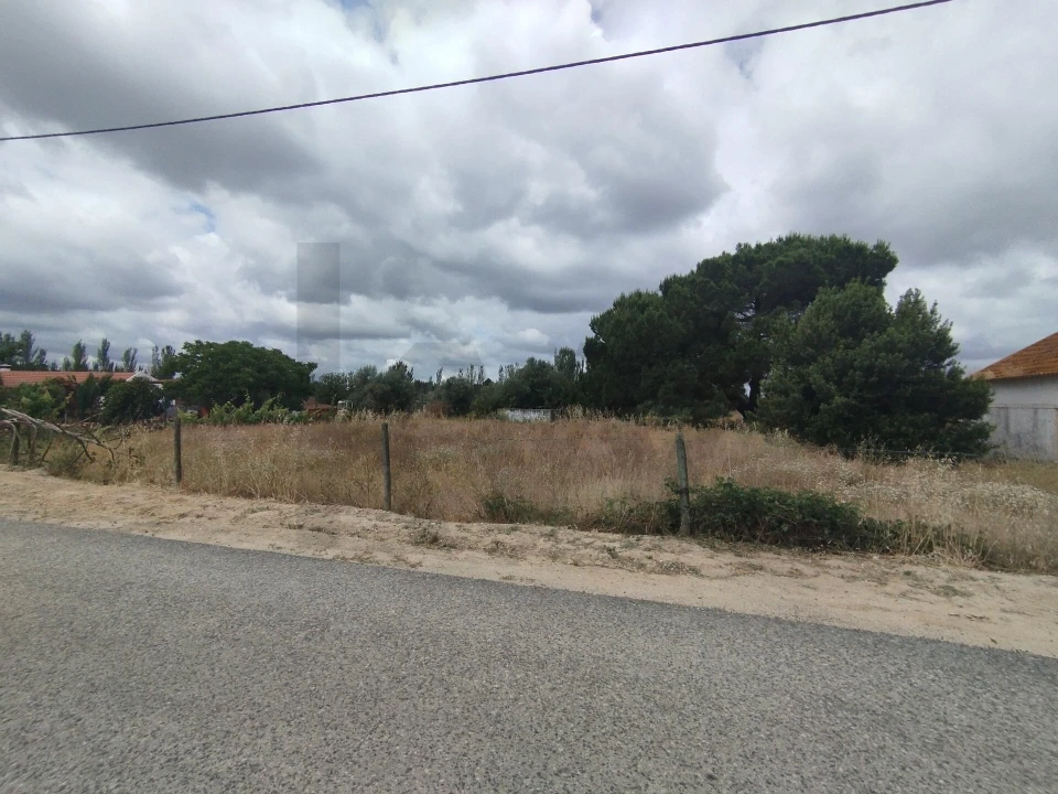 Quinta T3 para Venda em Santo Estêvão Foto 9