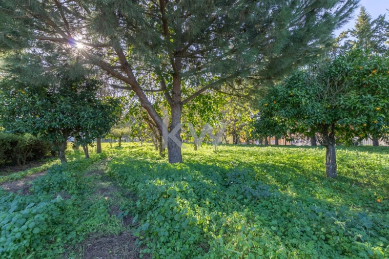 Quinta T4 para Venda em Azeitão (São Lourenço e São Simão) Foto 4