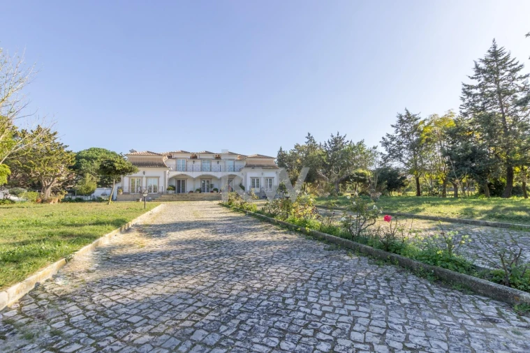 Quinta T4 para Venda em Azeitão (São Lourenço e São Simão) Foto 3