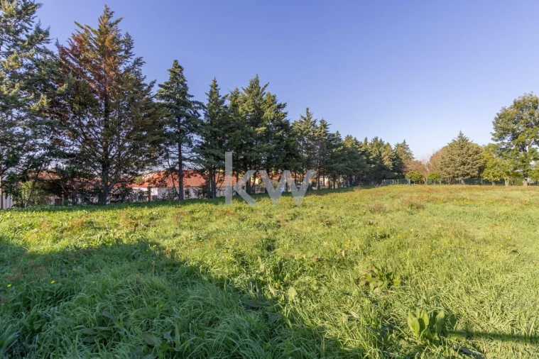 Quinta T4 para Venda em Azeitão (São Lourenço e São Simão) Foto 18