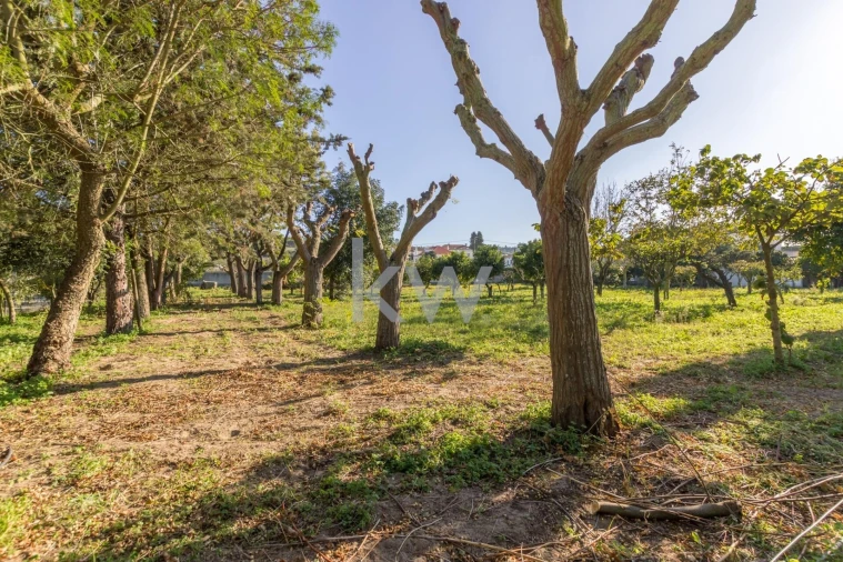 Quinta T4 para Venda em Azeitão (São Lourenço e São Simão) Foto 17