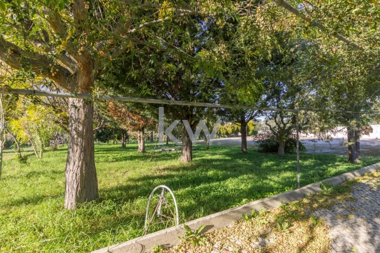 Quinta T4 para Venda em Azeitão (São Lourenço e São Simão) Foto 6