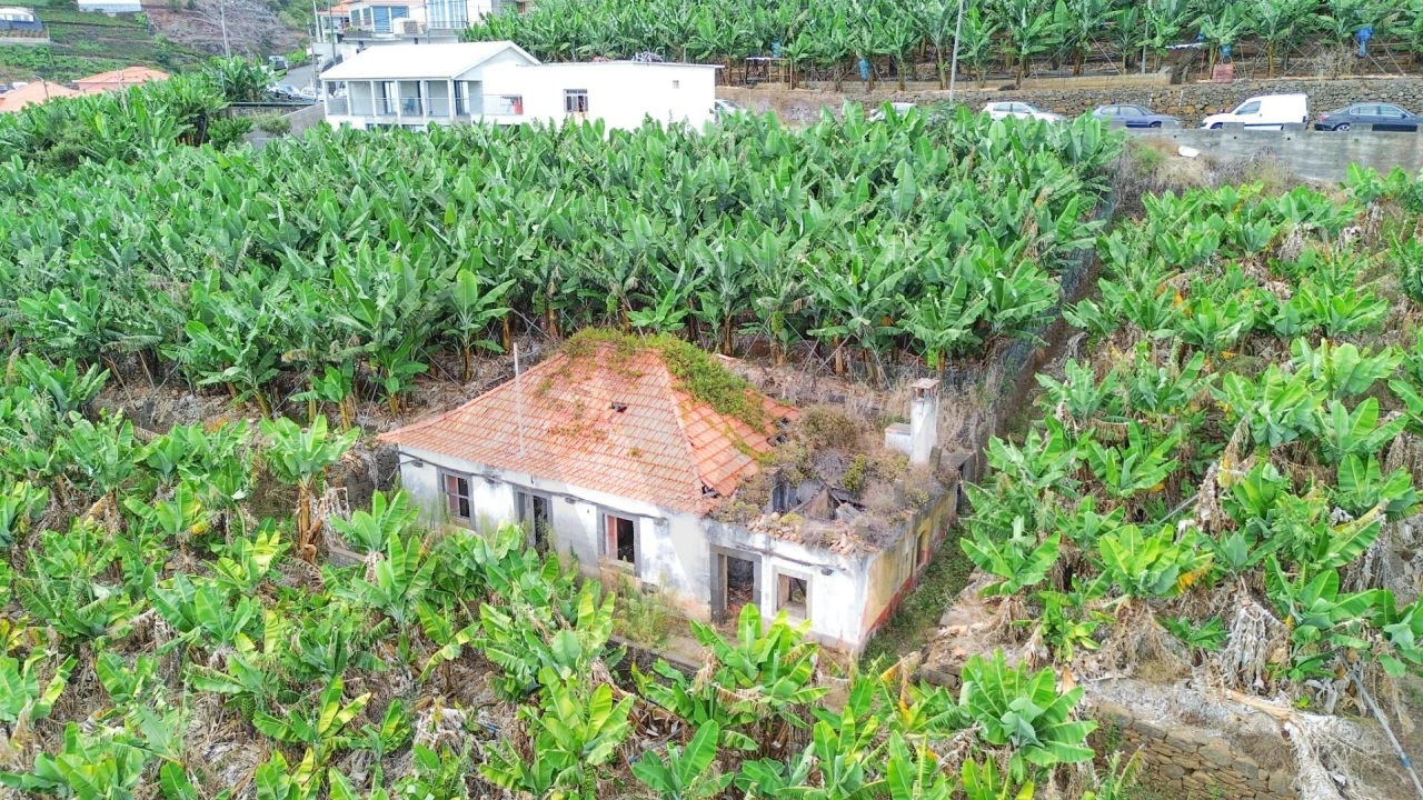 Terreno para Venda em Camara de Lobos Foto 16