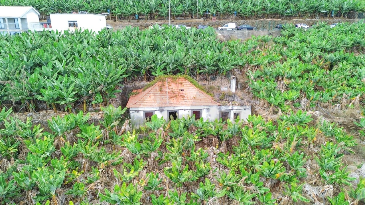 Terreno para Venda em Camara de Lobos Foto 17