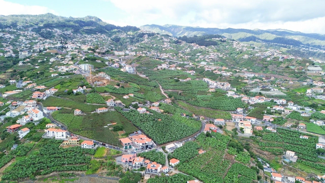 Terreno para Venda em Camara de Lobos Foto 3