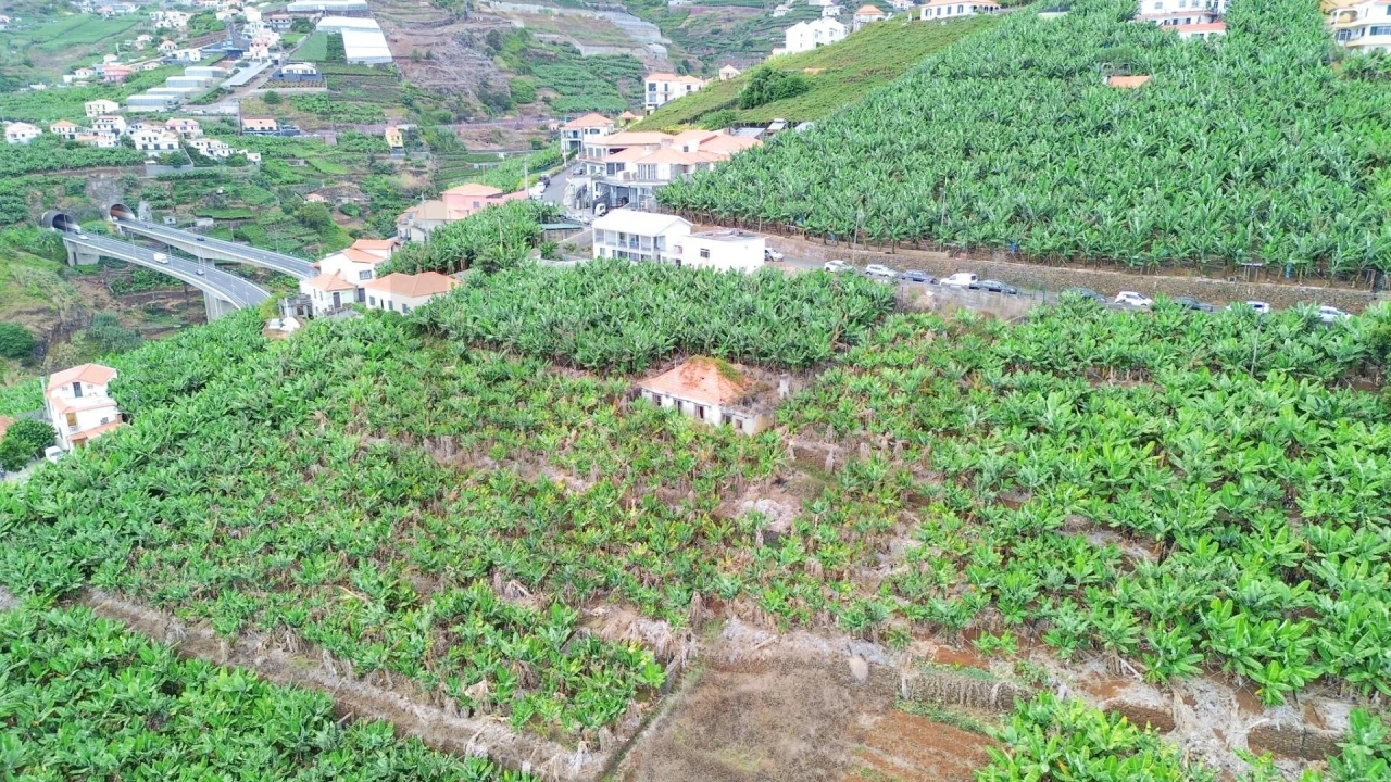 Terreno para Venda em Camara de Lobos Foto 14