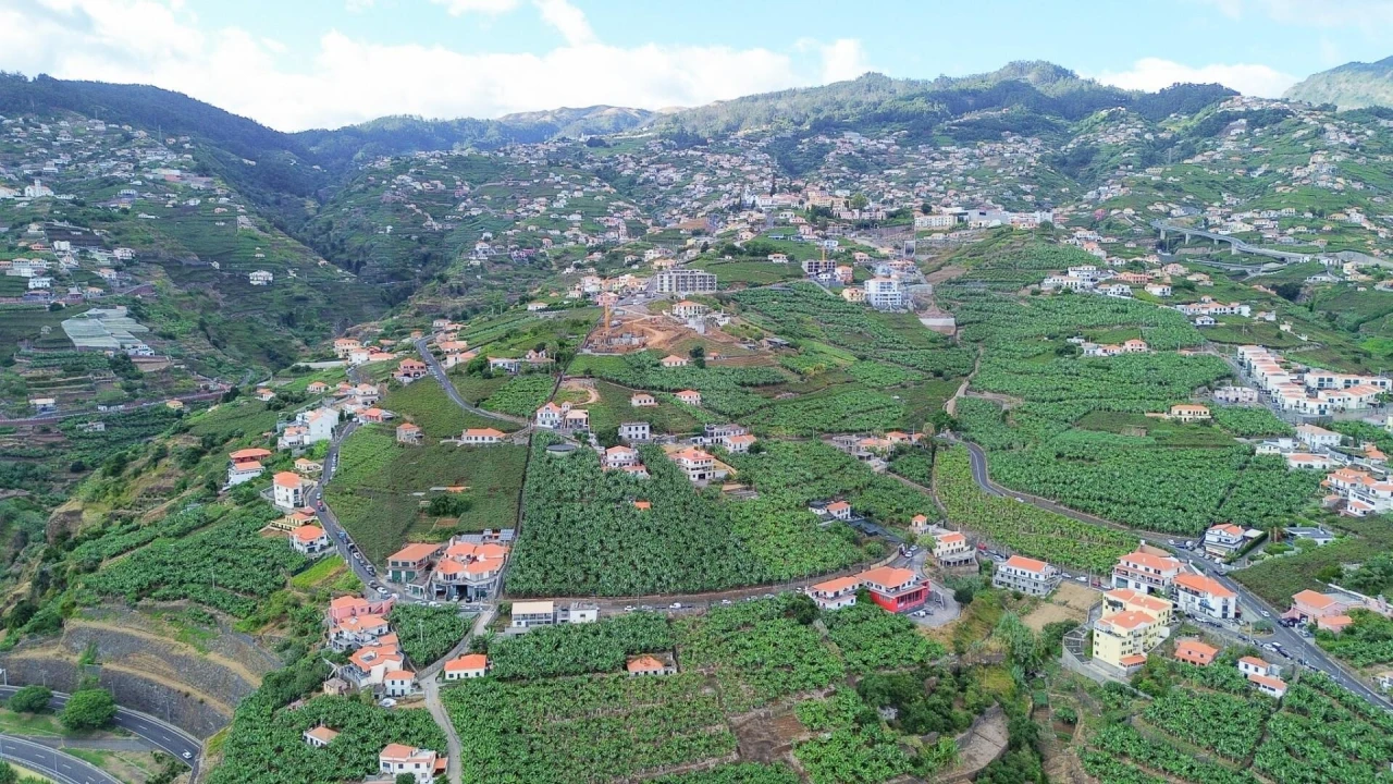 Terreno para Venda em Camara de Lobos Foto 4