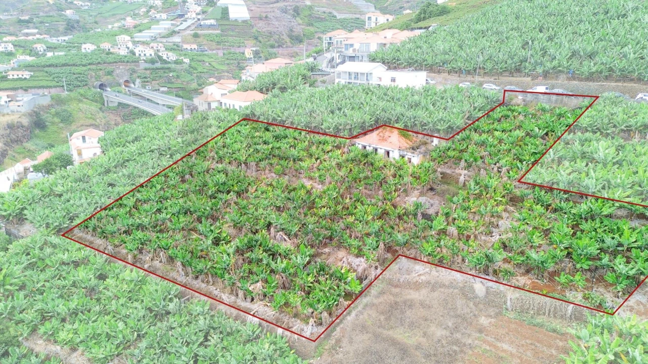 Terreno para Venda em Camara de Lobos Foto 28