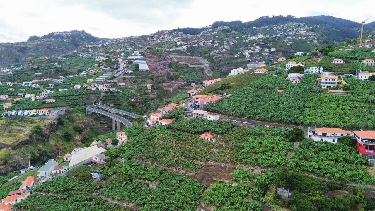 Terreno para Venda em Camara de Lobos Foto 11