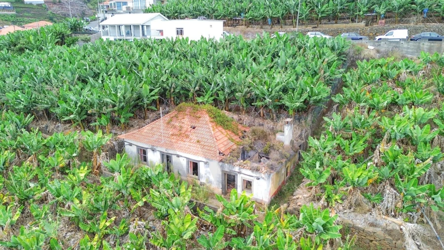 Terreno para Venda em Camara de Lobos Foto 16
