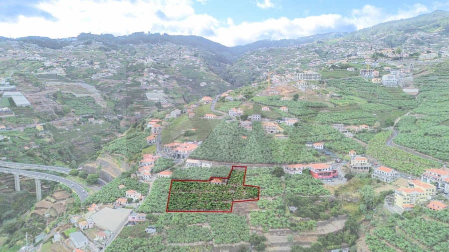 Terreno para Venda em Camara de Lobos Foto 26