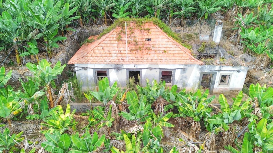 Terreno para Venda em Camara de Lobos Foto 18