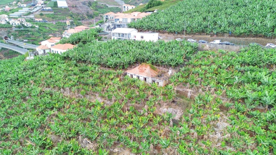 Terreno para Venda em Camara de Lobos Foto 9