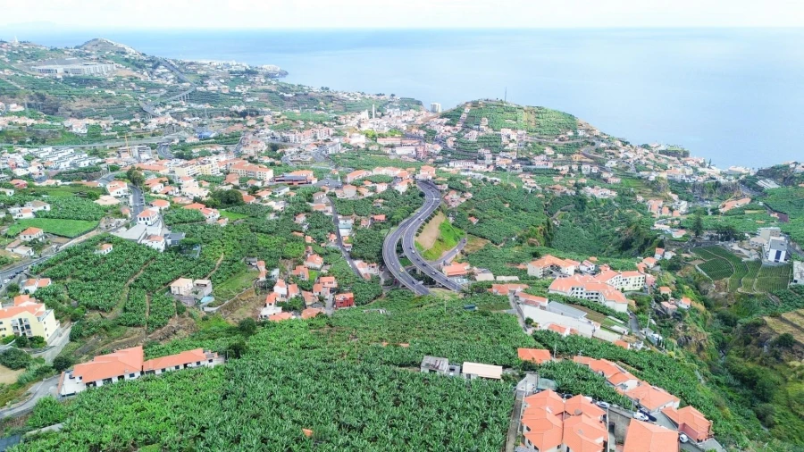 Terreno para Venda em Camara de Lobos Foto 7