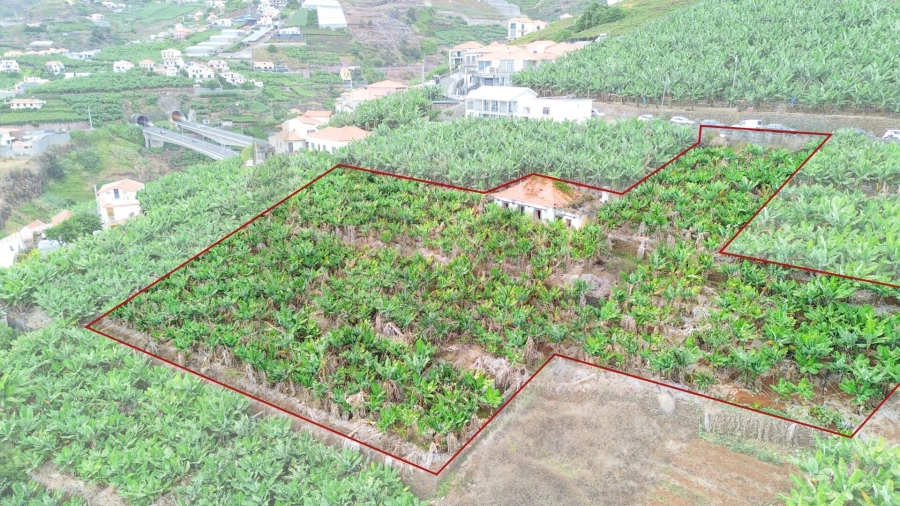 Terreno para Venda em Camara de Lobos Foto 28