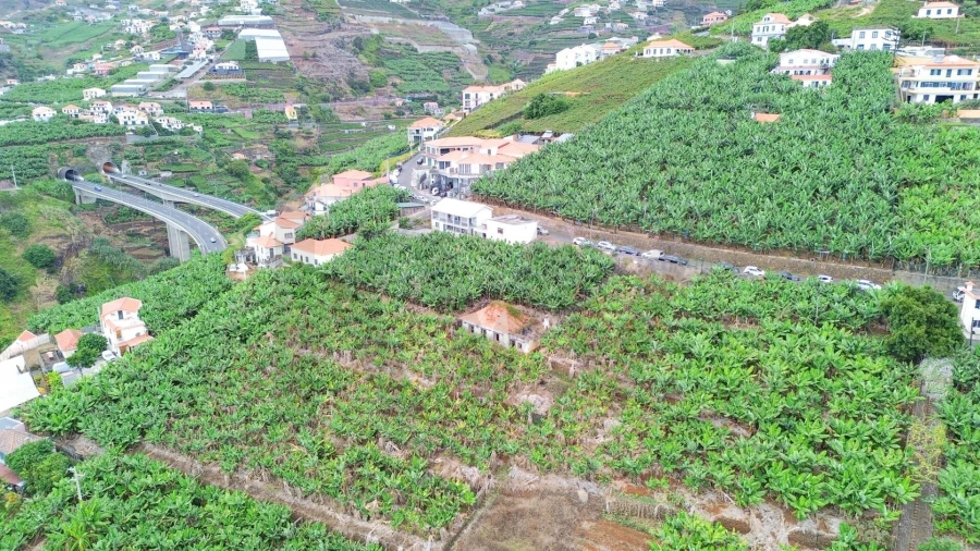Terreno para Venda em Camara de Lobos Foto 13
