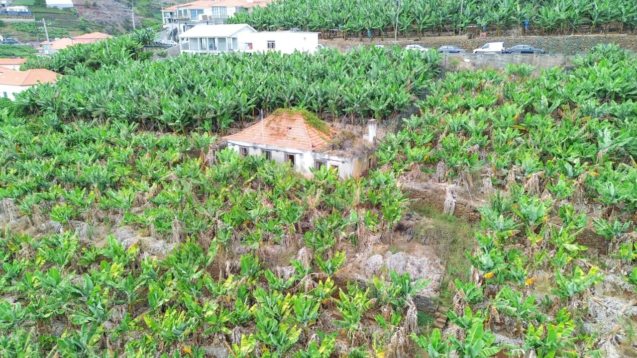 Terreno para Venda em Camara de Lobos Foto 10