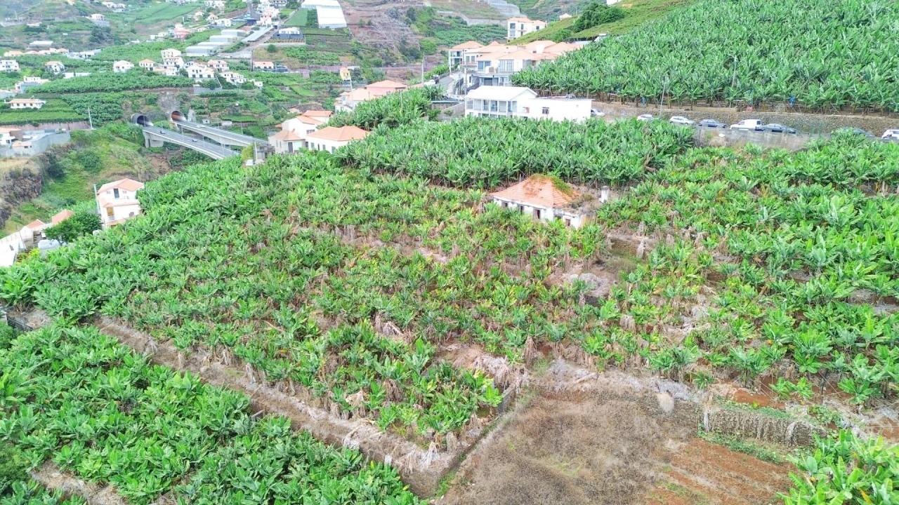 Terreno para Venda em Camara de Lobos Foto 27