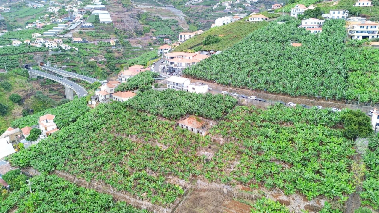 Terreno para Venda em Camara de Lobos Foto 12