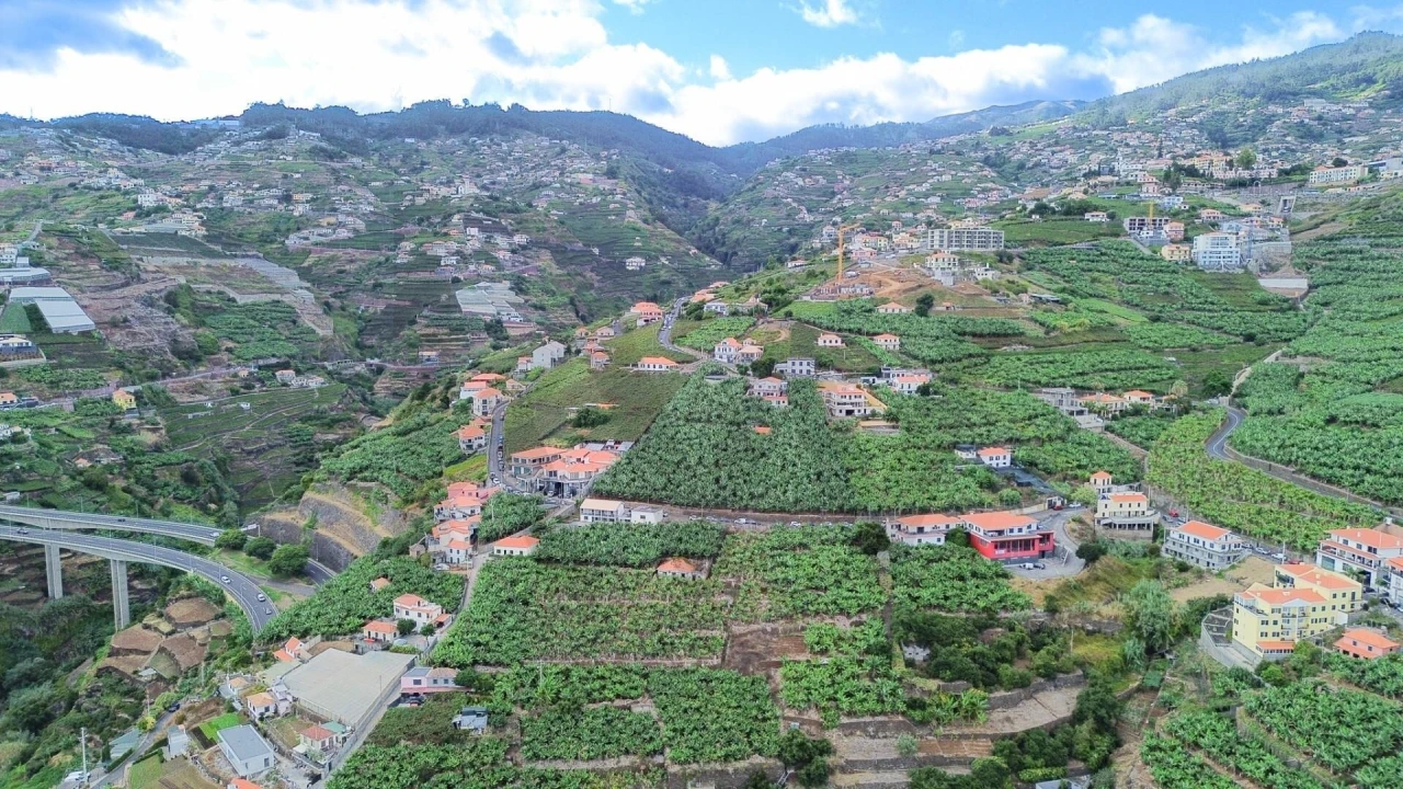 Terreno para Venda em Camara de Lobos Foto 25