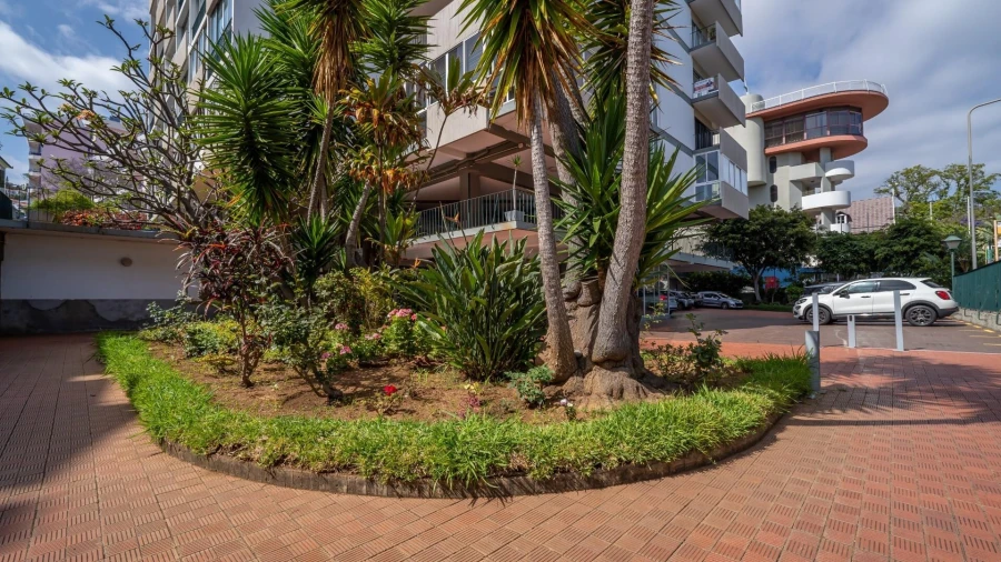 Apartamento T3 para Venda em São Martinho Foto 29
