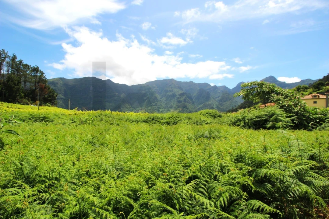 Terreno para Venda em São Vicente Foto 11