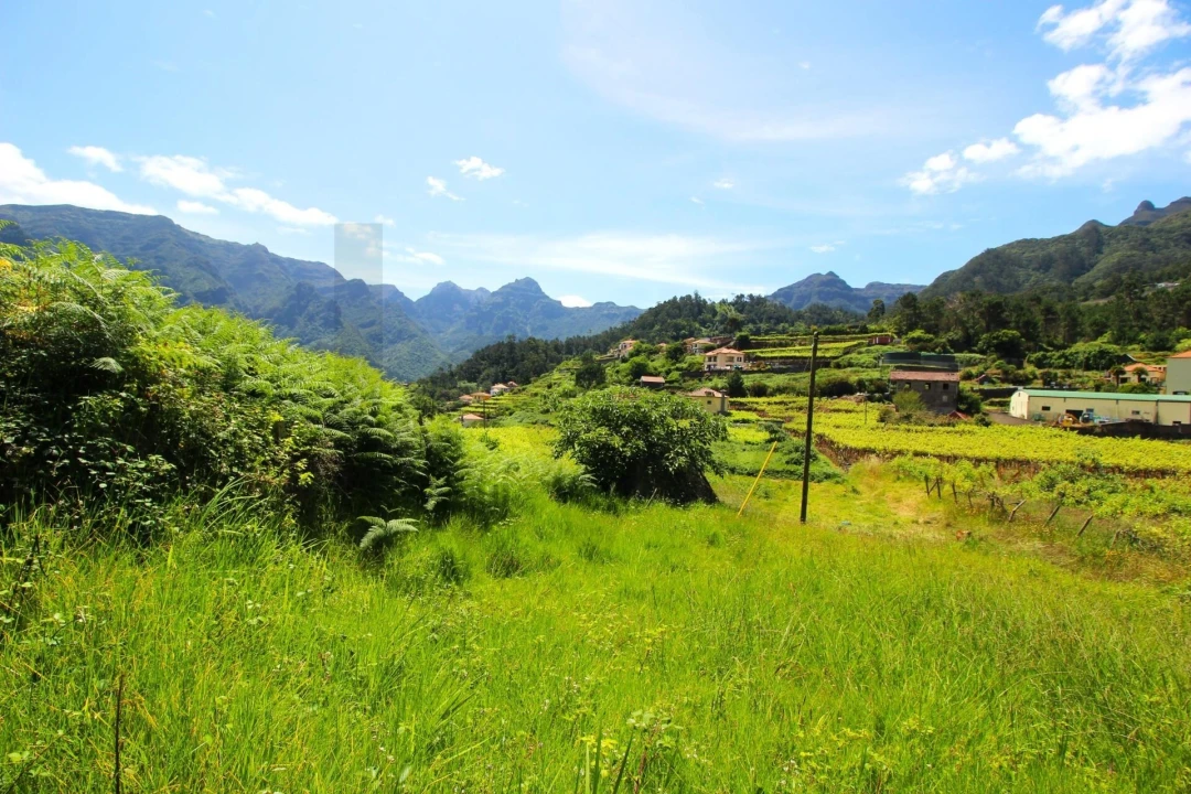 Terreno para Venda em São Vicente Foto 3