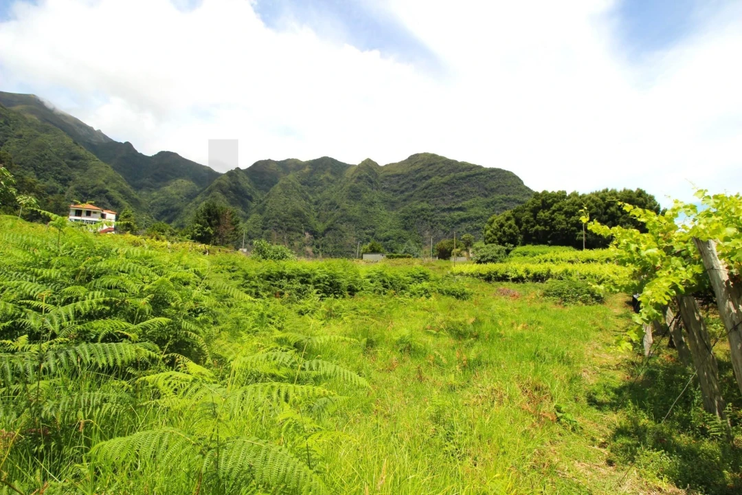 Terreno para Venda em São Vicente Foto 14