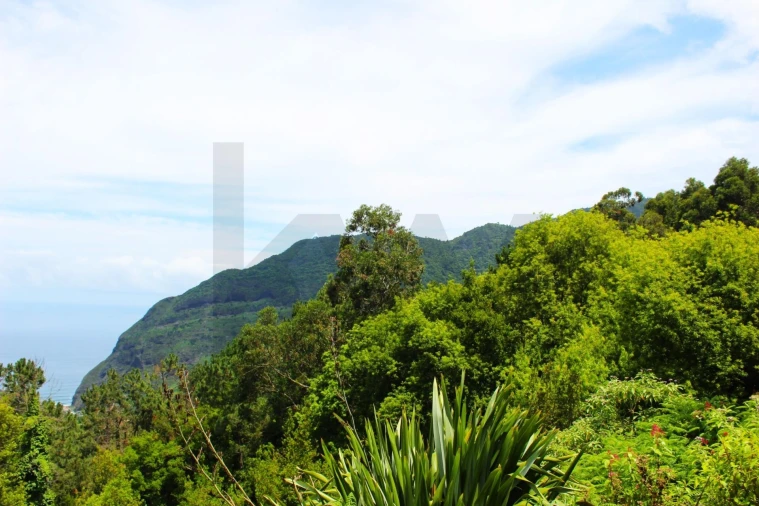 Terreno para Venda em São Vicente Foto 26