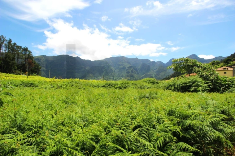 Terreno para Venda em São Vicente Foto 11