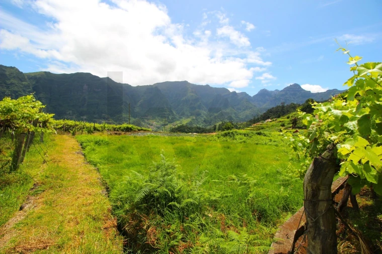 Terreno para Venda em São Vicente Foto 13