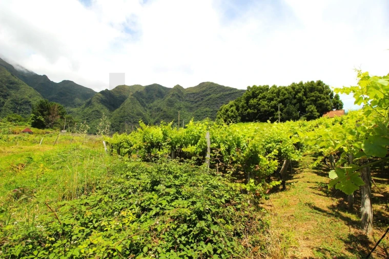 Terreno para Venda em São Vicente Foto 16
