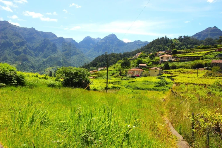 Terreno para Venda em São Vicente Foto 6