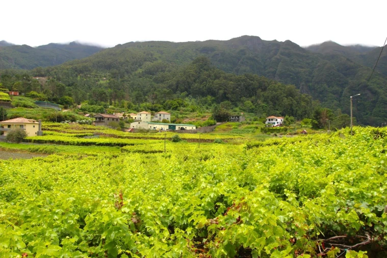 Terreno para Venda em São Vicente Foto 29