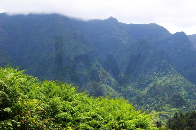 Terreno para Venda em São Vicente Foto 18