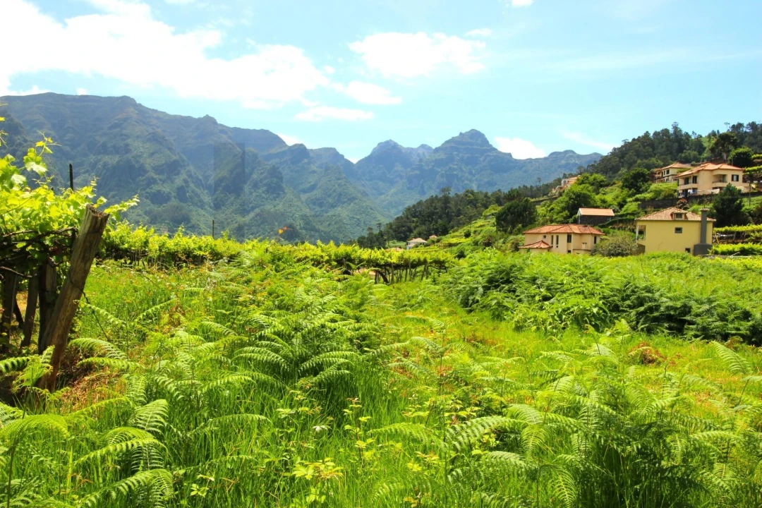 Terreno para Venda em São Vicente Foto 10