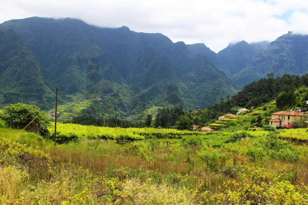 Terreno para Venda em São Vicente Foto 27