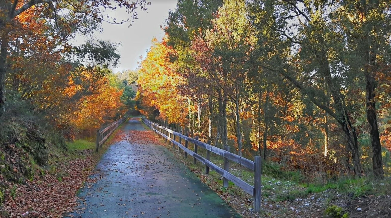 Quinta T5 para Venda em Boa Aldeia, Farminhão e Torredeita Foto 41