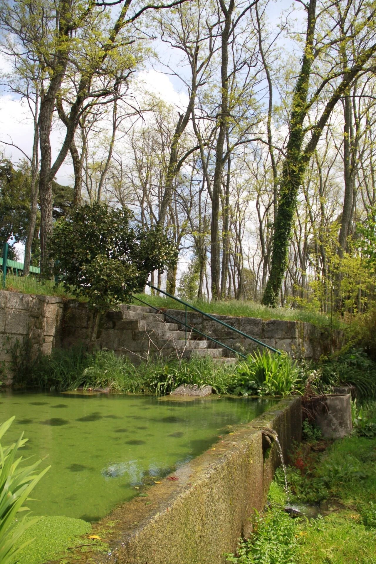 Quinta T5 para Venda em Boa Aldeia, Farminhão e Torredeita Foto 23